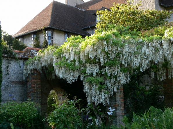 Bois des Moutiers (67) Juin 2012